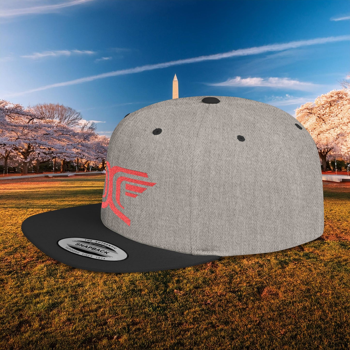 Winged DC Flat Bill Snapback