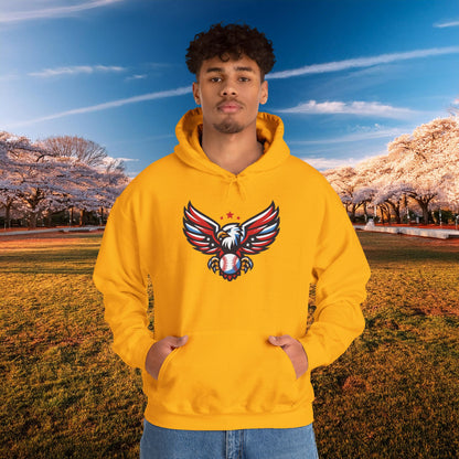 Washington Baseball Eagle Hoodie