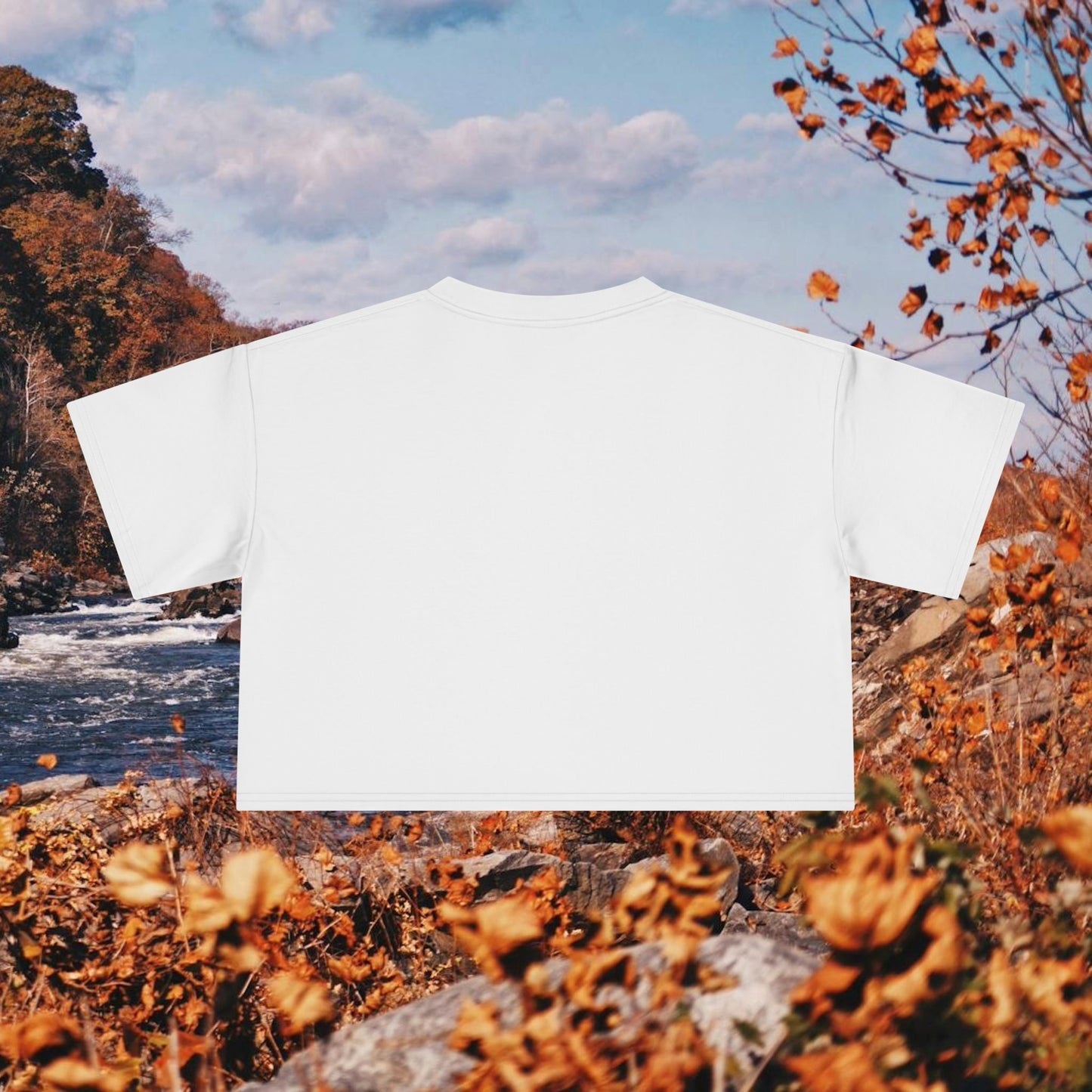 Raccoon Coffee Women's Crop Tee