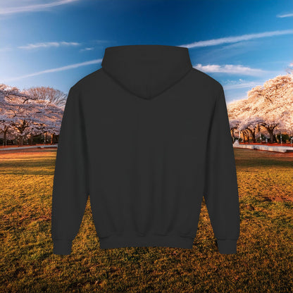 Washington DC Football Logo Youth Hoodie