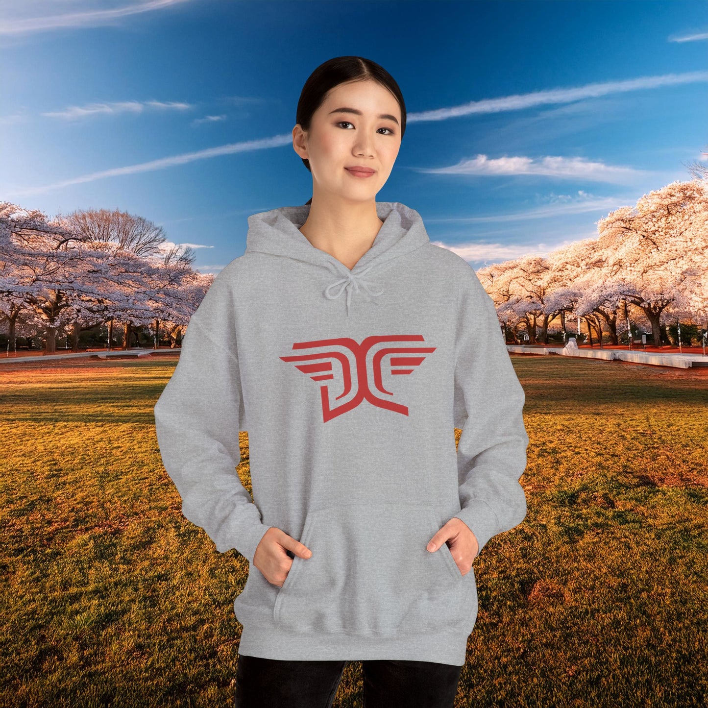Winged DC Hoodie