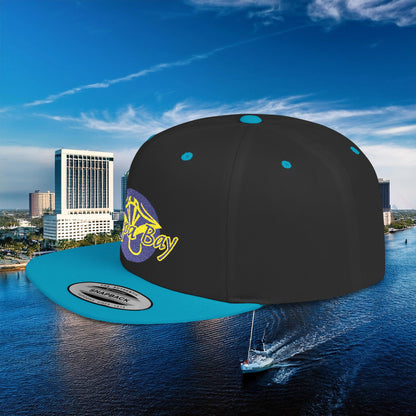 Tampa Bay Baseball Flat Bill Snapback