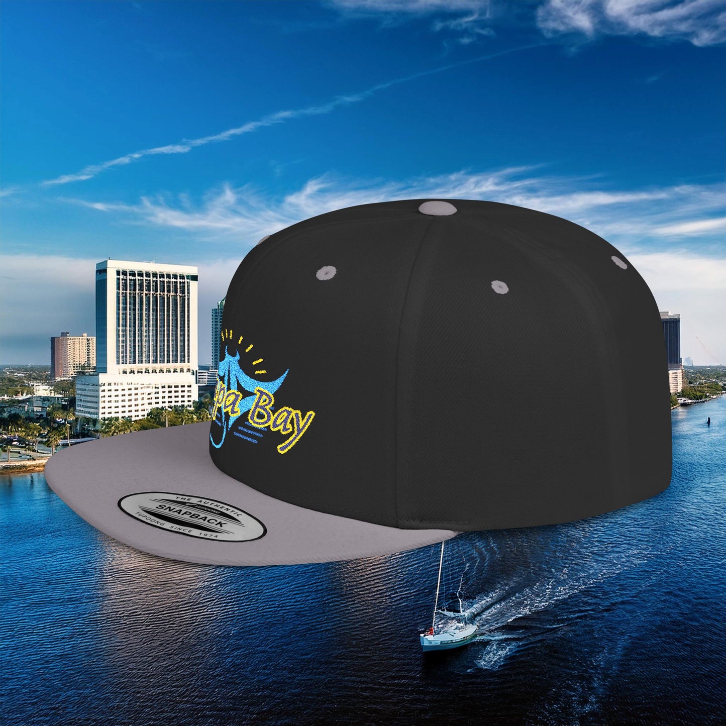 Tampa Bay Baseball Logo Flat Bill Snapback