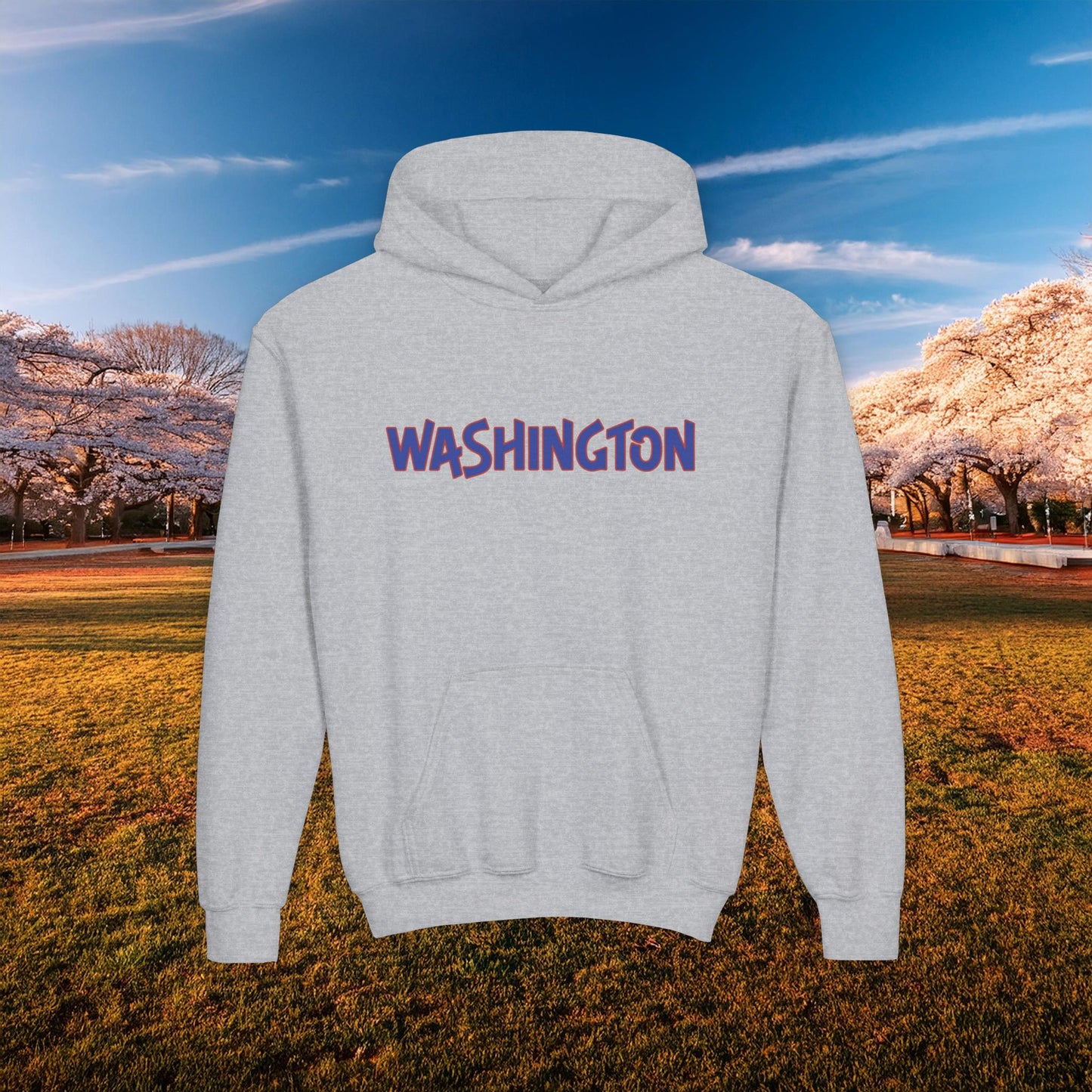 Washington Spirit Eagle Design Youth Hoodie