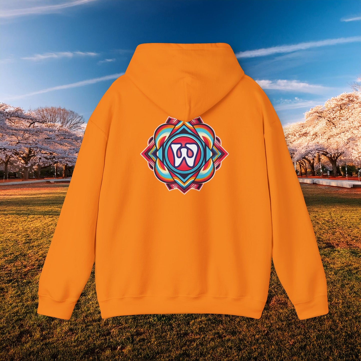 Magical Mystery Nats Hoodie