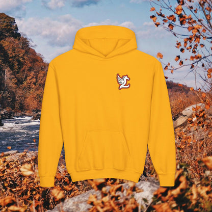 Loudoun Pegasus Youth Hoodie