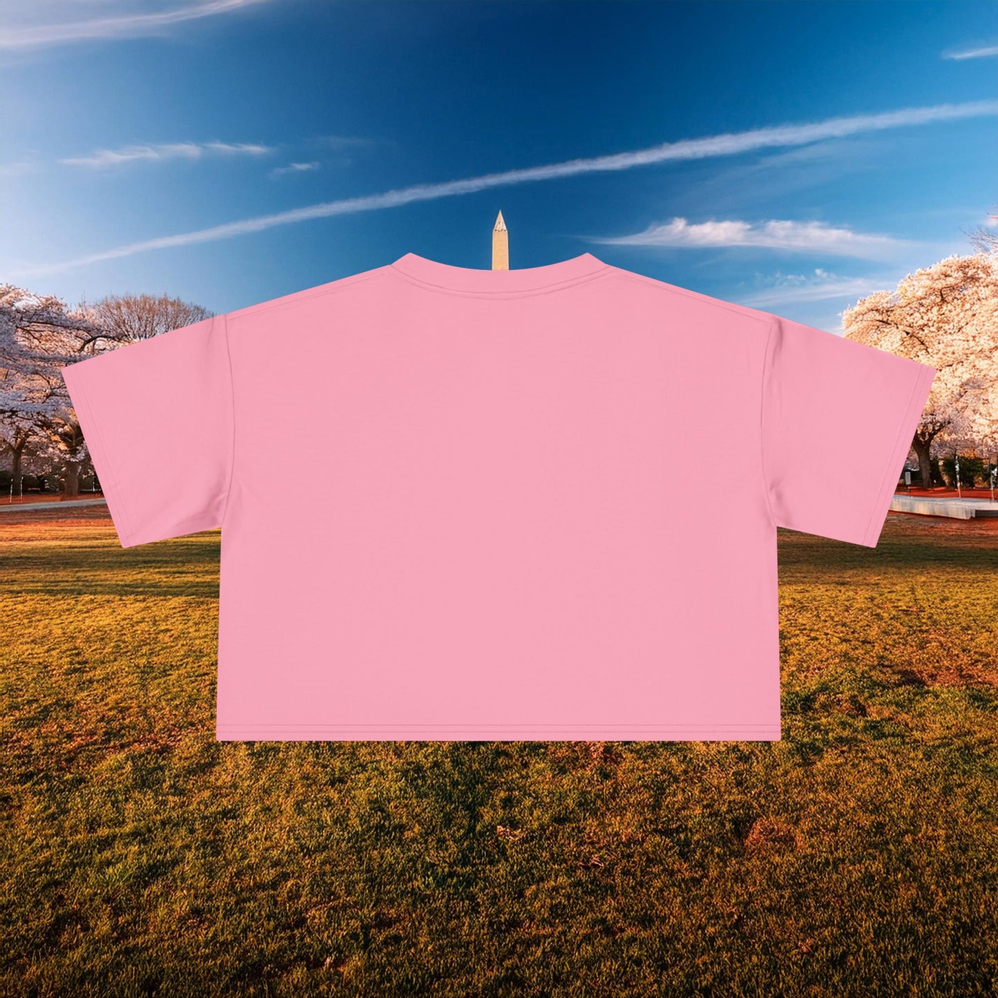 Psychedelic Wizard's Player Women's Crop Tee