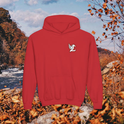 Loudoun Pegasus Youth Hoodie
