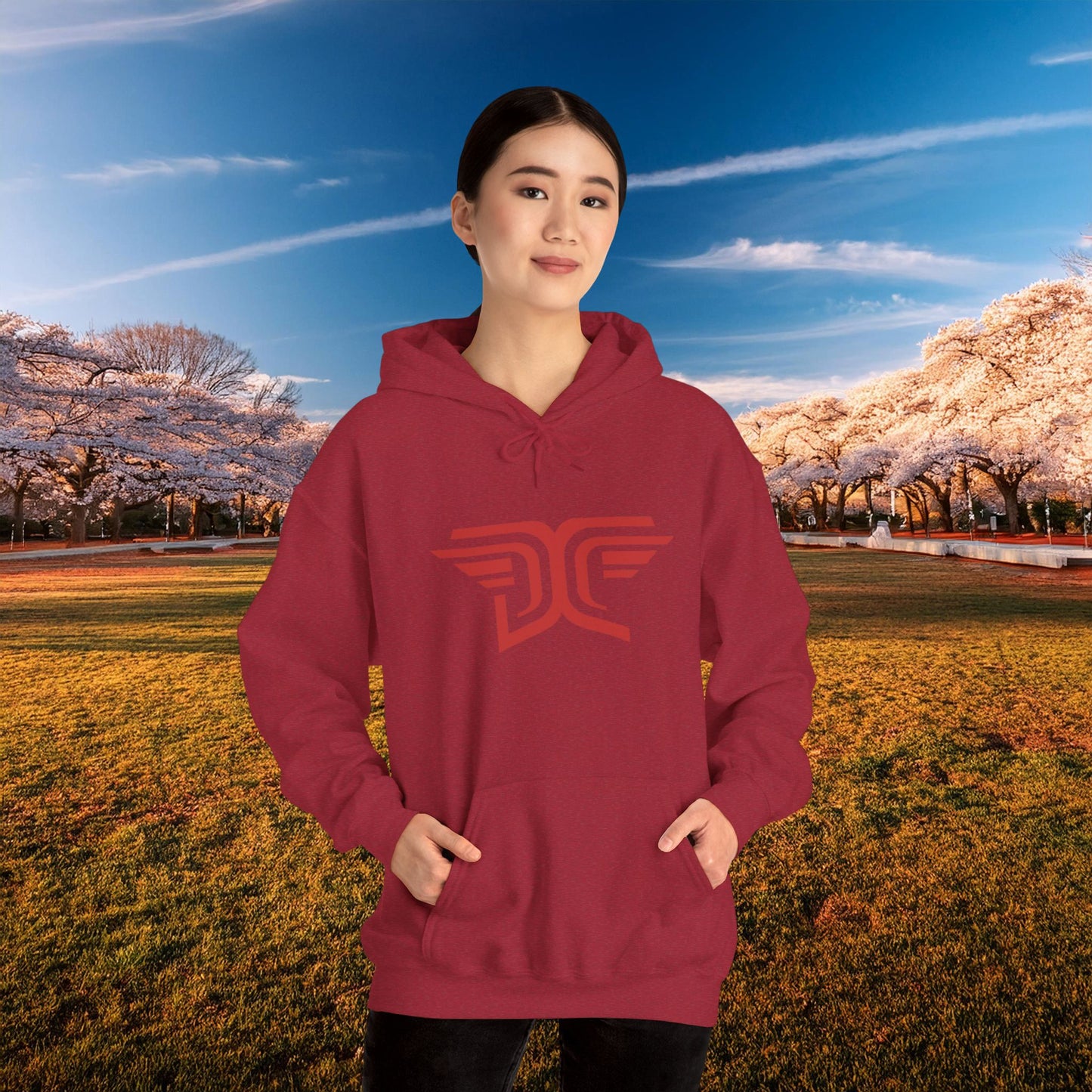 Winged DC Hoodie