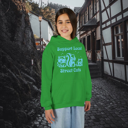 Support Local Street Cats Youth Hoodie