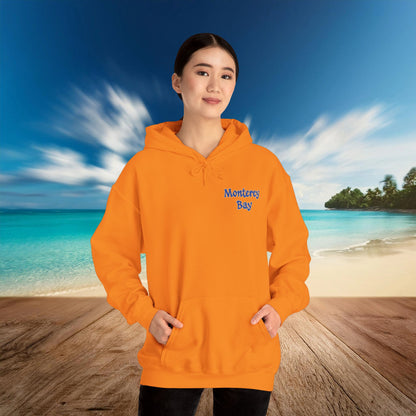 Sea Otter Soccer Logo Hoodie