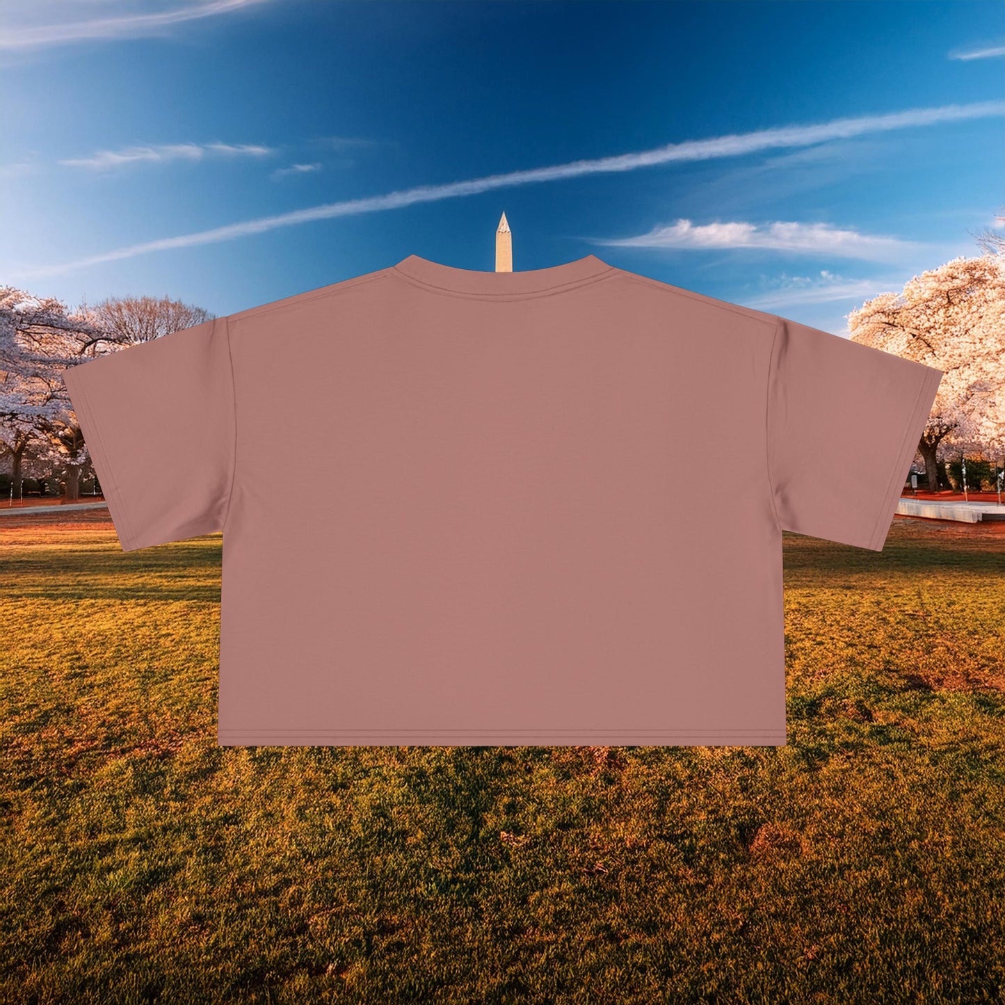 Psychedelic Wizard's Player Women's Crop Tee