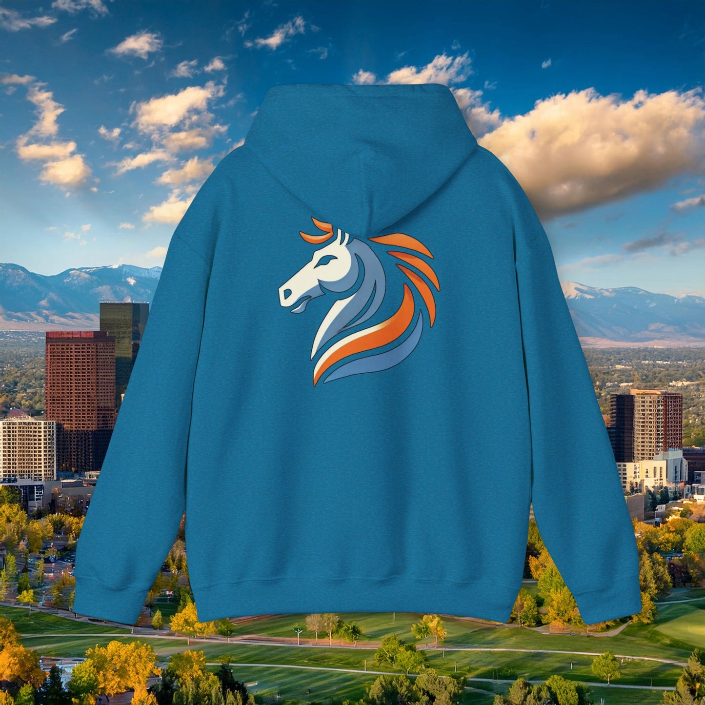 Bronco Hoodie
