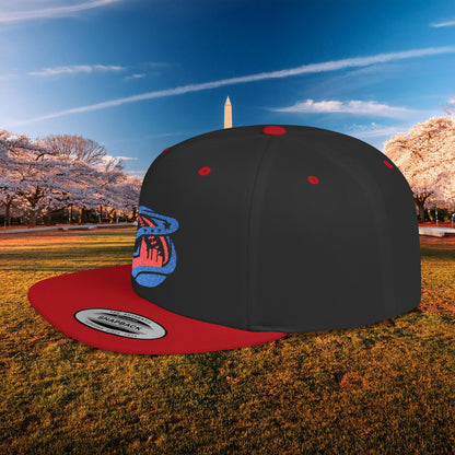 Abstract Washington Baseball Logo Flat Bill Snapback