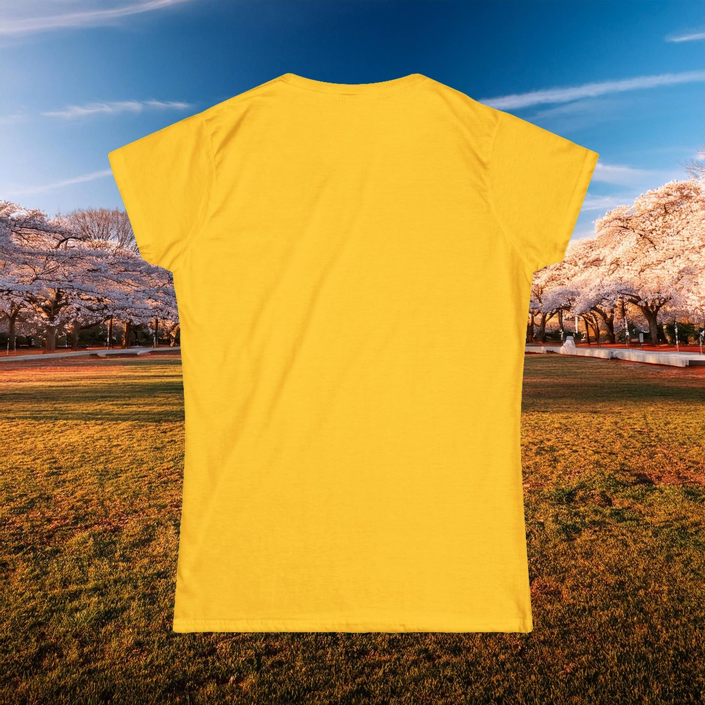 Washington Football Logo Women's Softstyle Tee