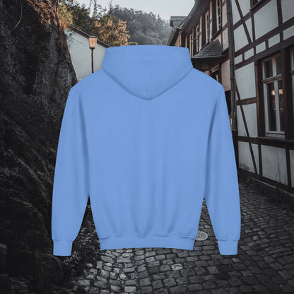 Support Local Street Cats Youth Hoodie