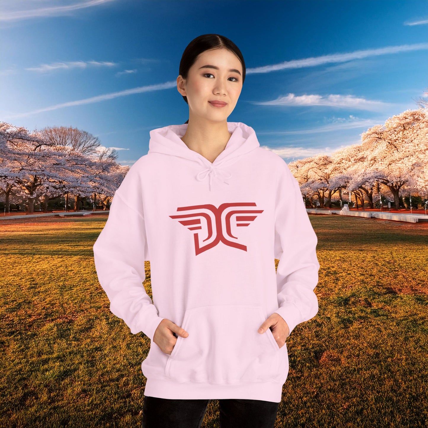 Winged DC Hoodie