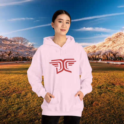 Winged DC Hoodie