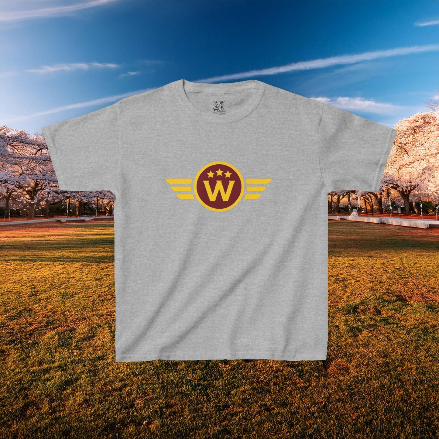 Washington DC Football Logo Kids Tee