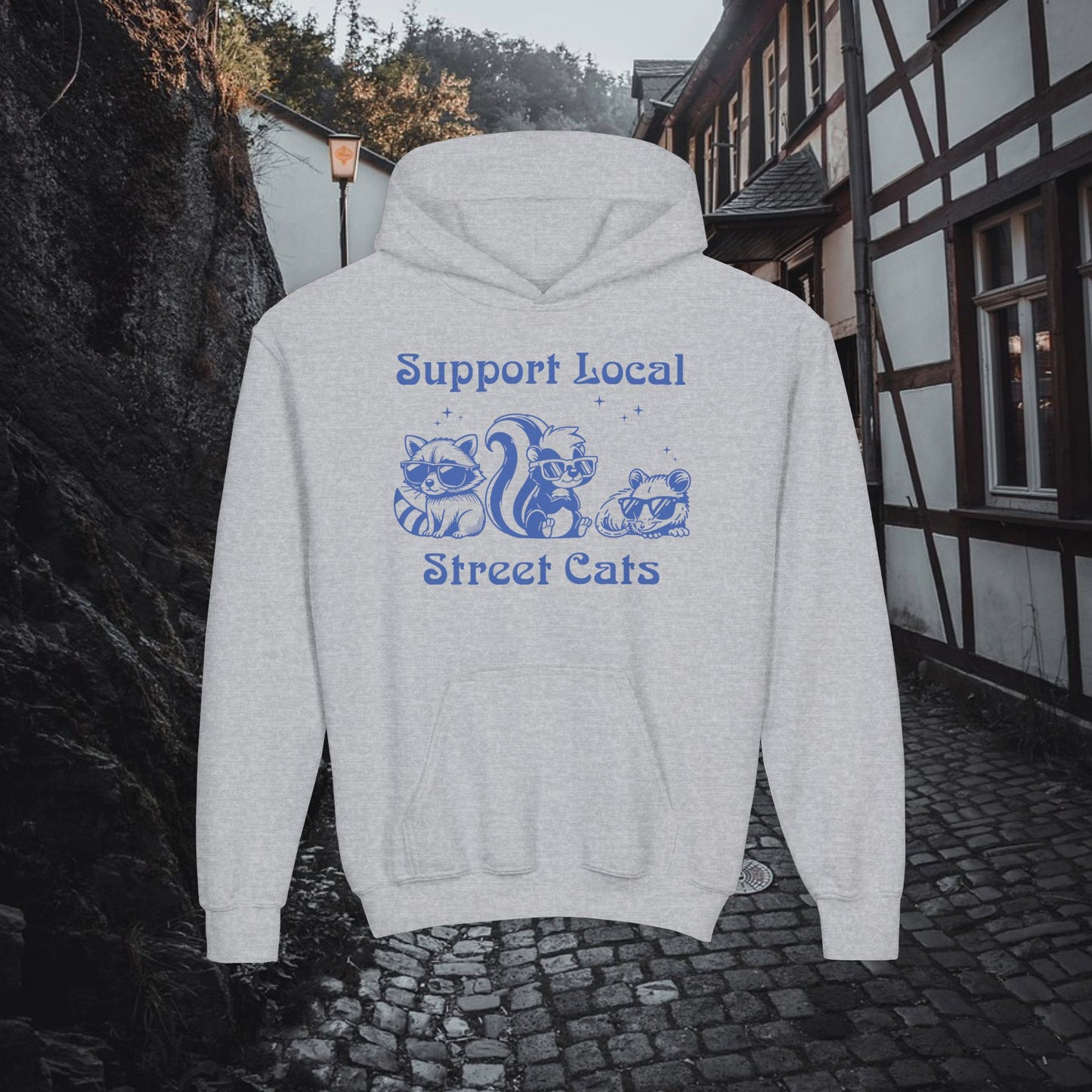 Support Local Street Cats Youth Hoodie
