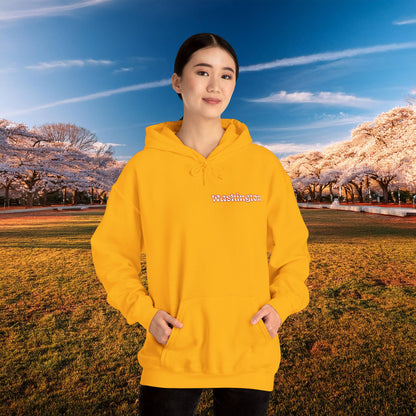 Magical Mystery Nats Hoodie