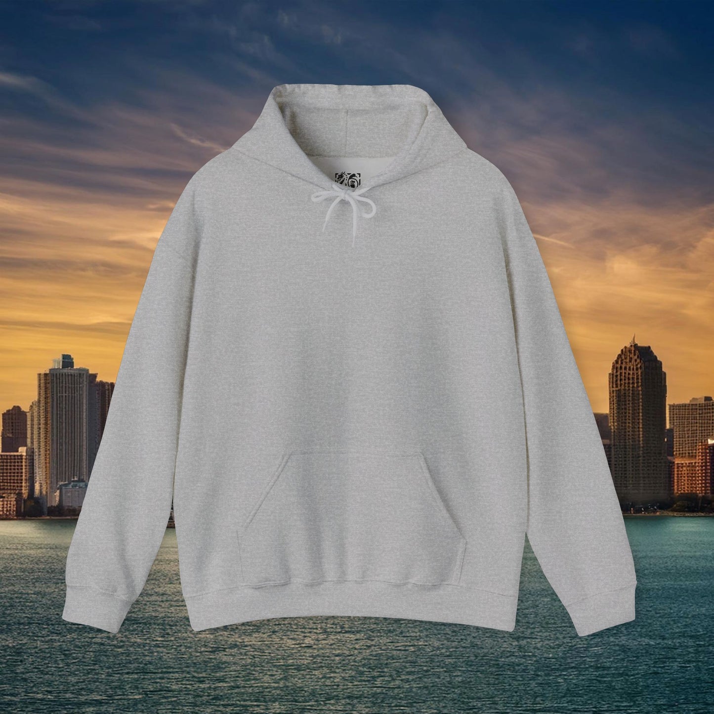 Detroit Football Crest Hoodie