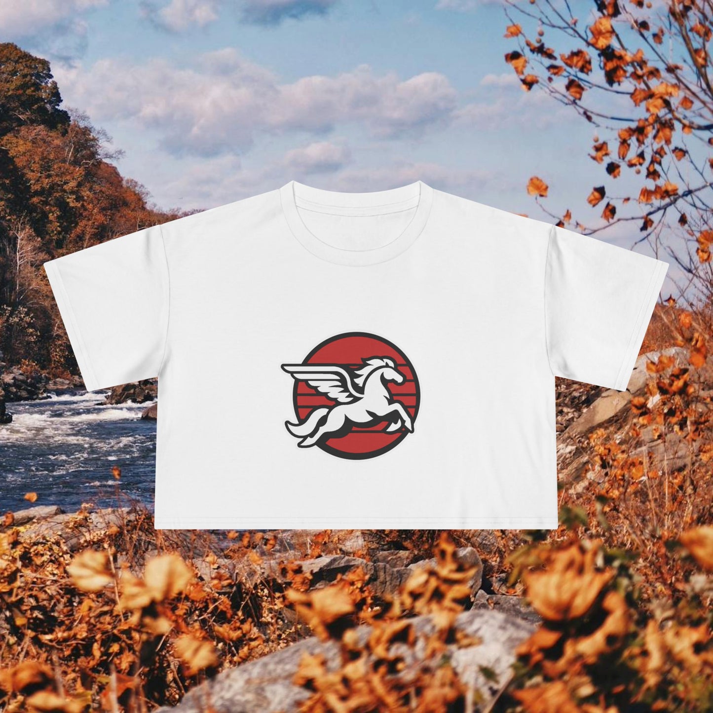 Loudoun Pegasus Crop Tee