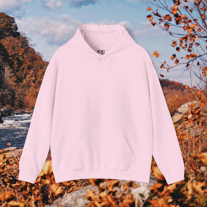 Raccoon Coffee Hoodie