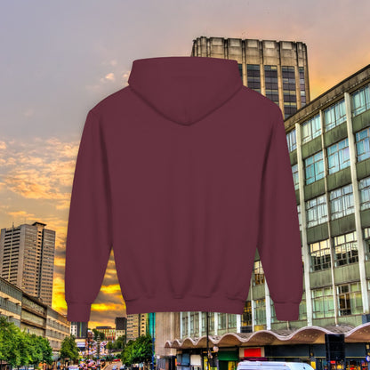 Villans Youth Hoodie