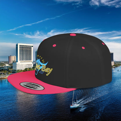 Tampa Bay Baseball Logo Flat Bill Snapback