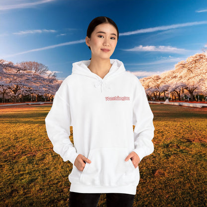 Magical Mystery Nats Hoodie