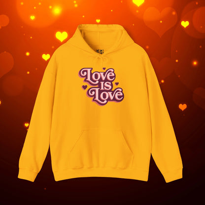 Love Is Love Hoodie