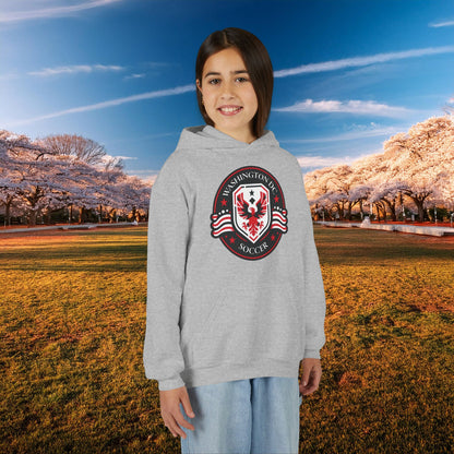 DC United Crest Youth Hoodie