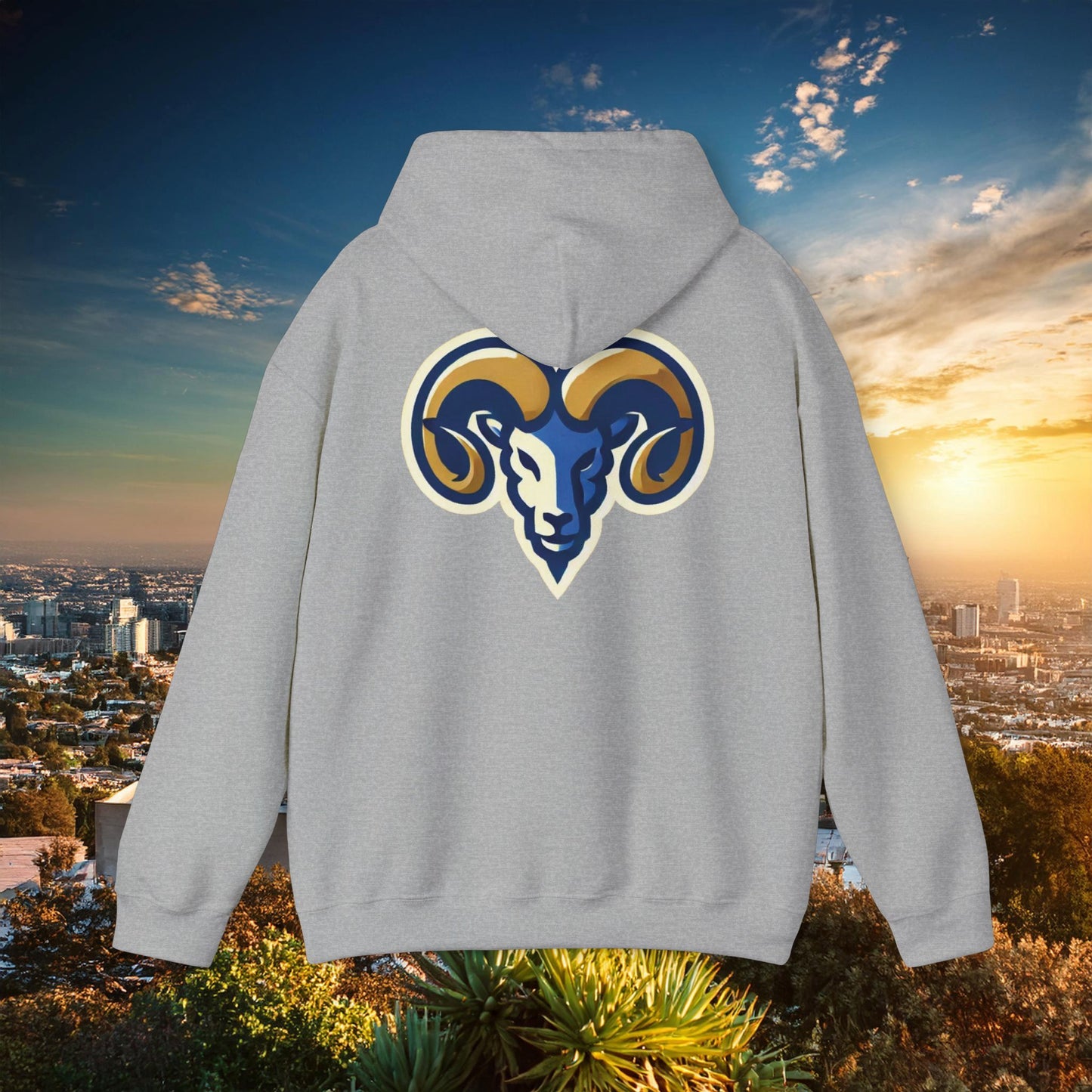 LA Football Hoodie
