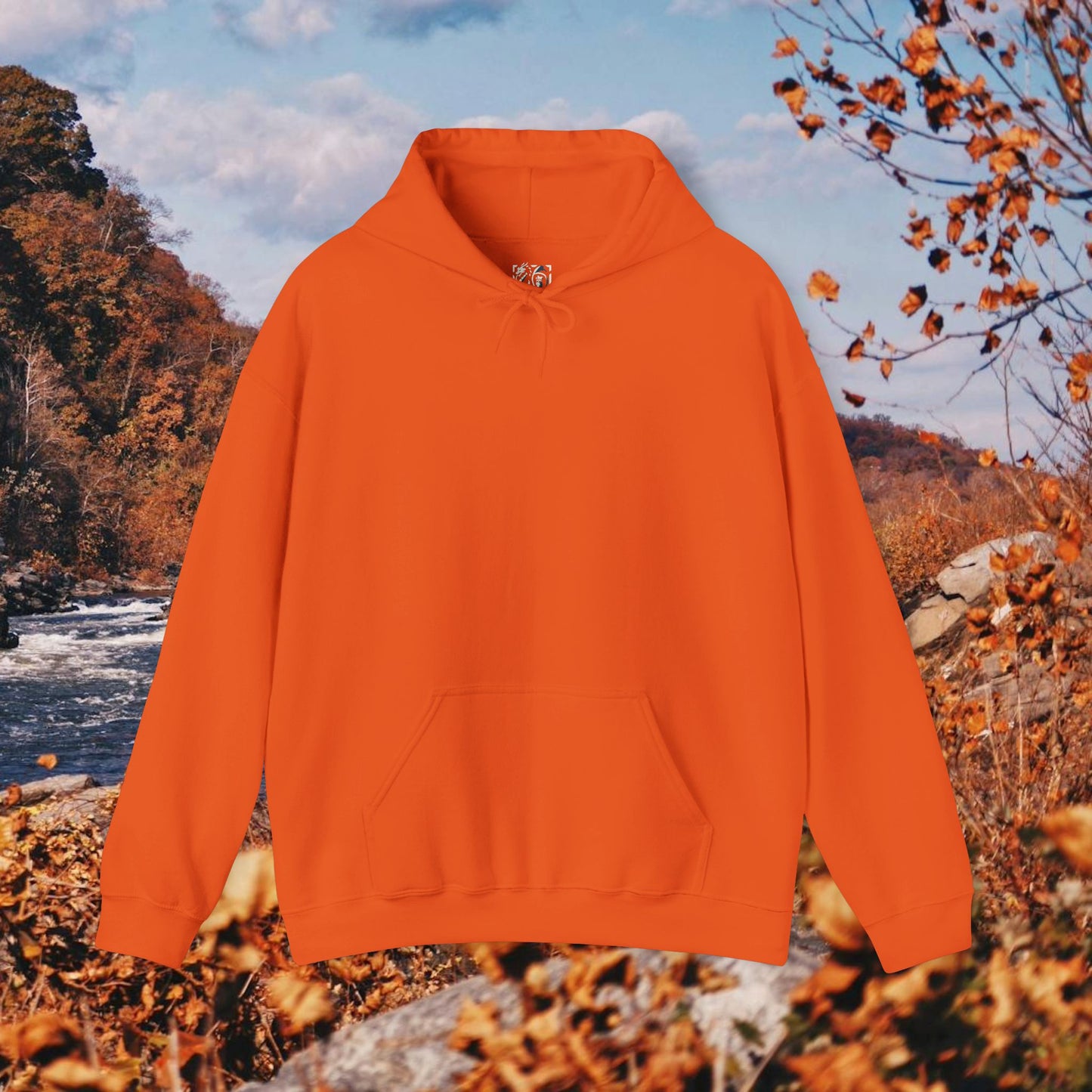 Raccoon Coffee Hoodie