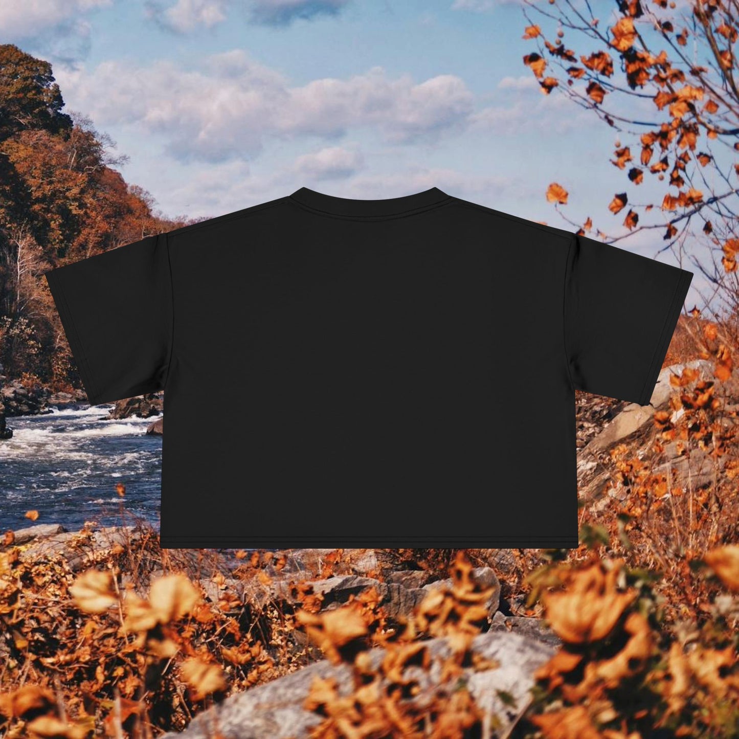 Raccoon Coffee Women's Crop Tee