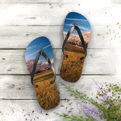 DC Cherry Blossom Flip Flops