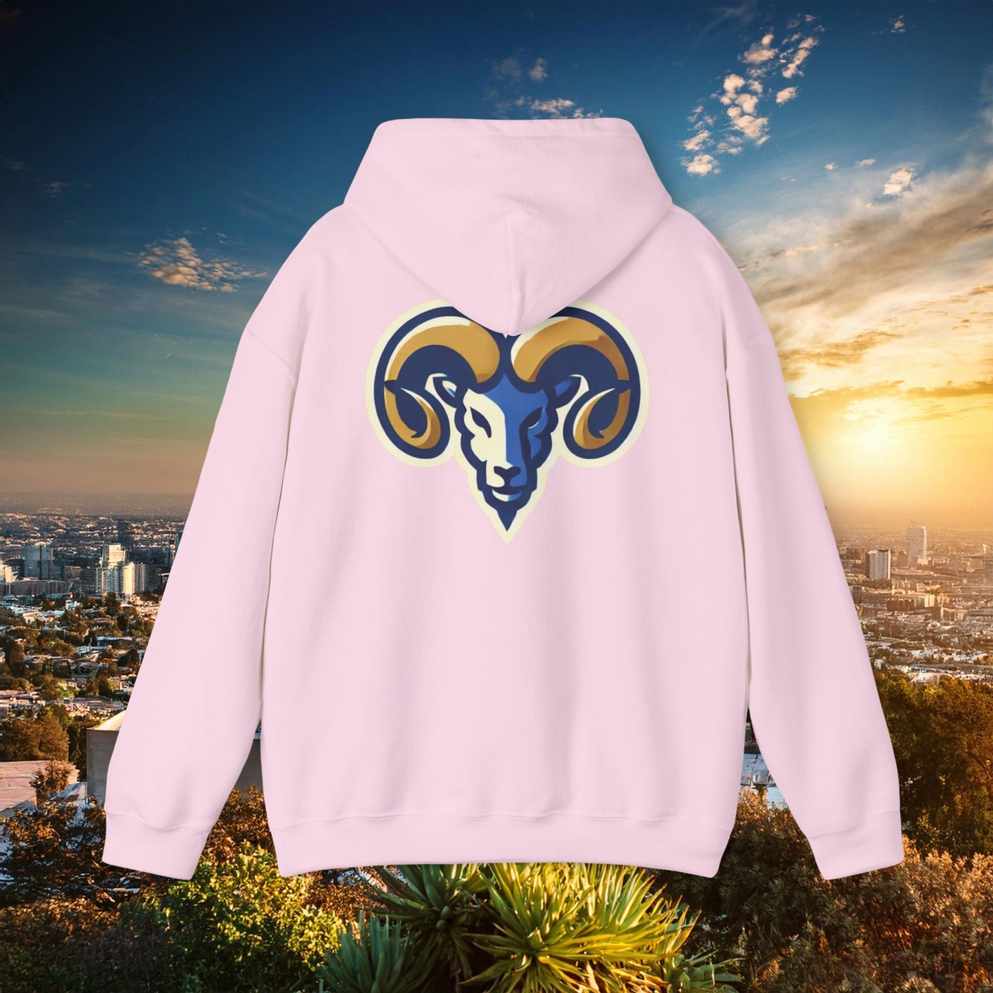 LA Football Hoodie