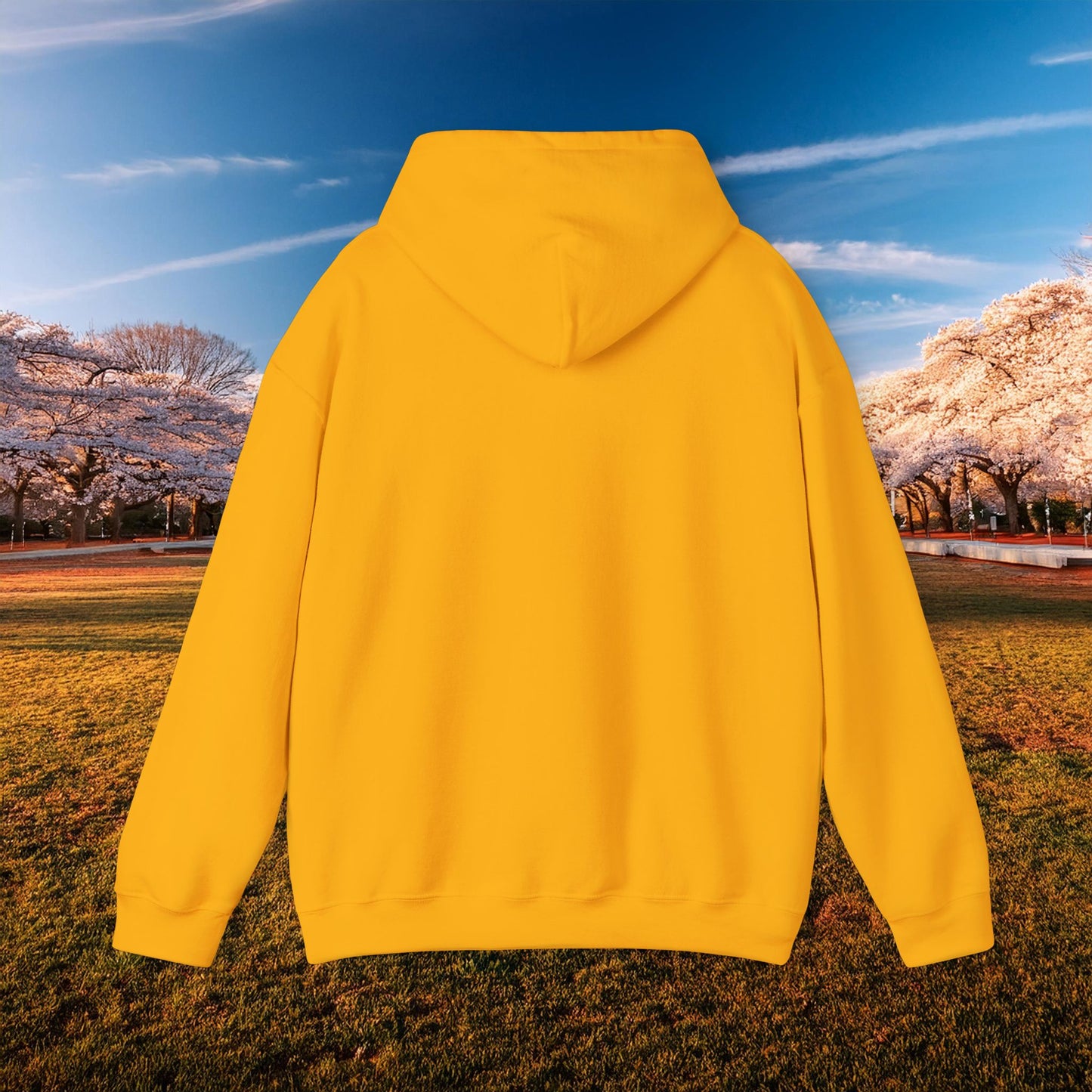 Washington Hockey Eagle Hoodie