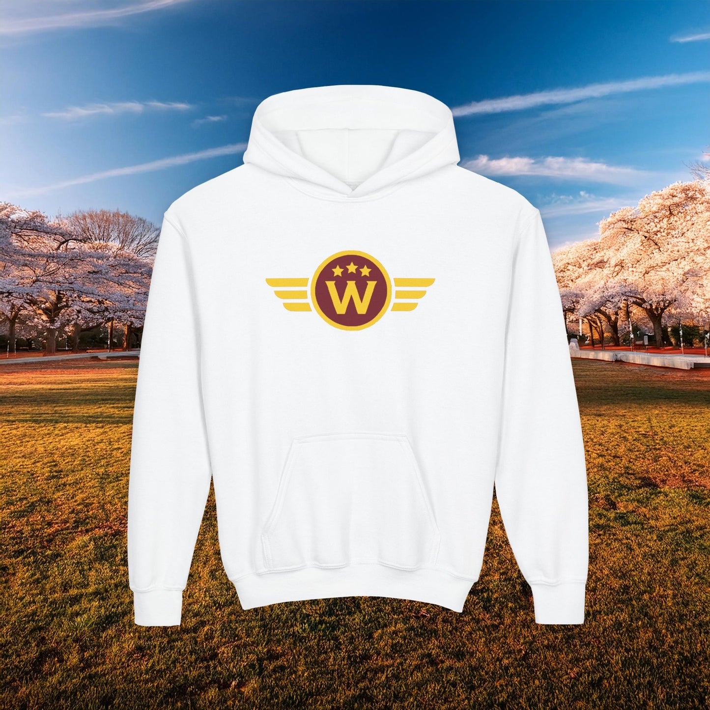 Washington Daniels Youth Hoodie