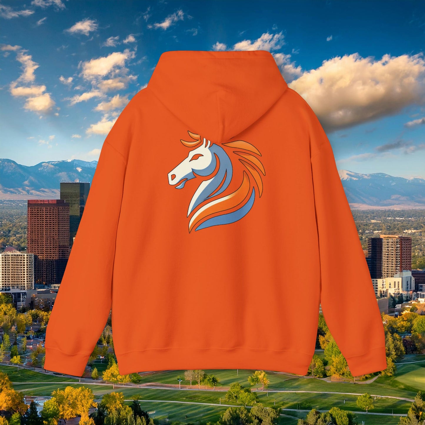 Bronco Hoodie