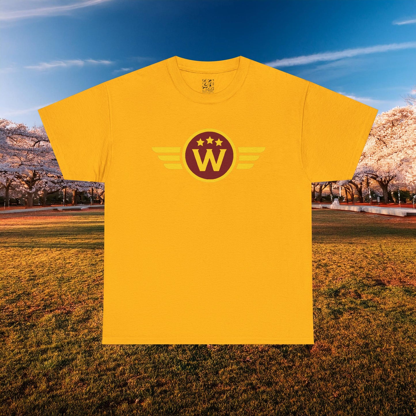 Washington DC Football Logo Tee