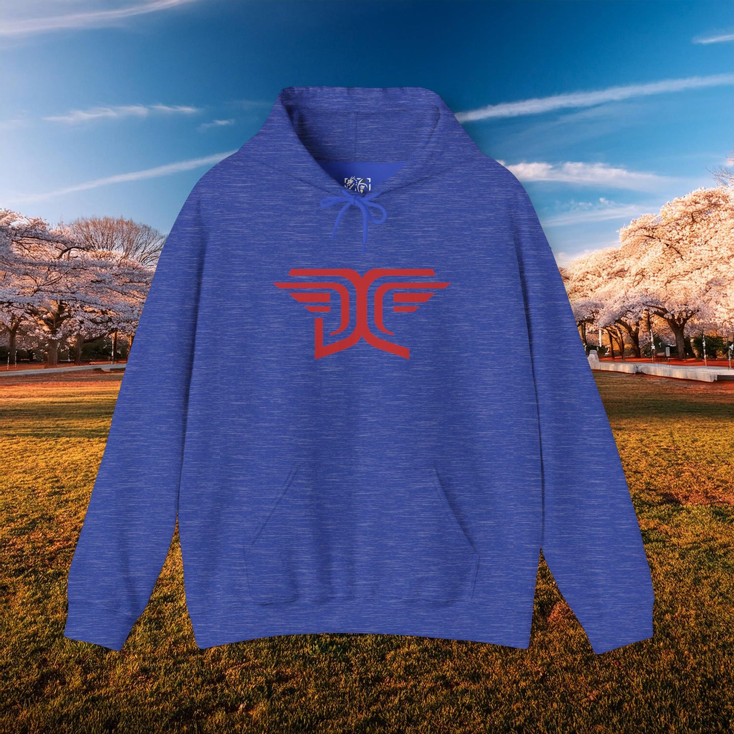 Winged DC Hoodie