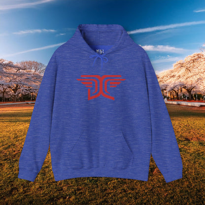 Winged DC Hoodie