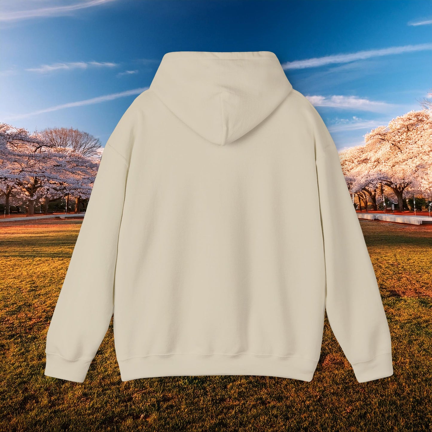 DC United Crest Hoodie