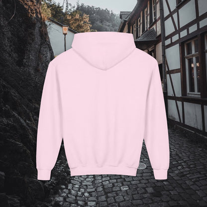 Support Local Street Cats Youth Hoodie