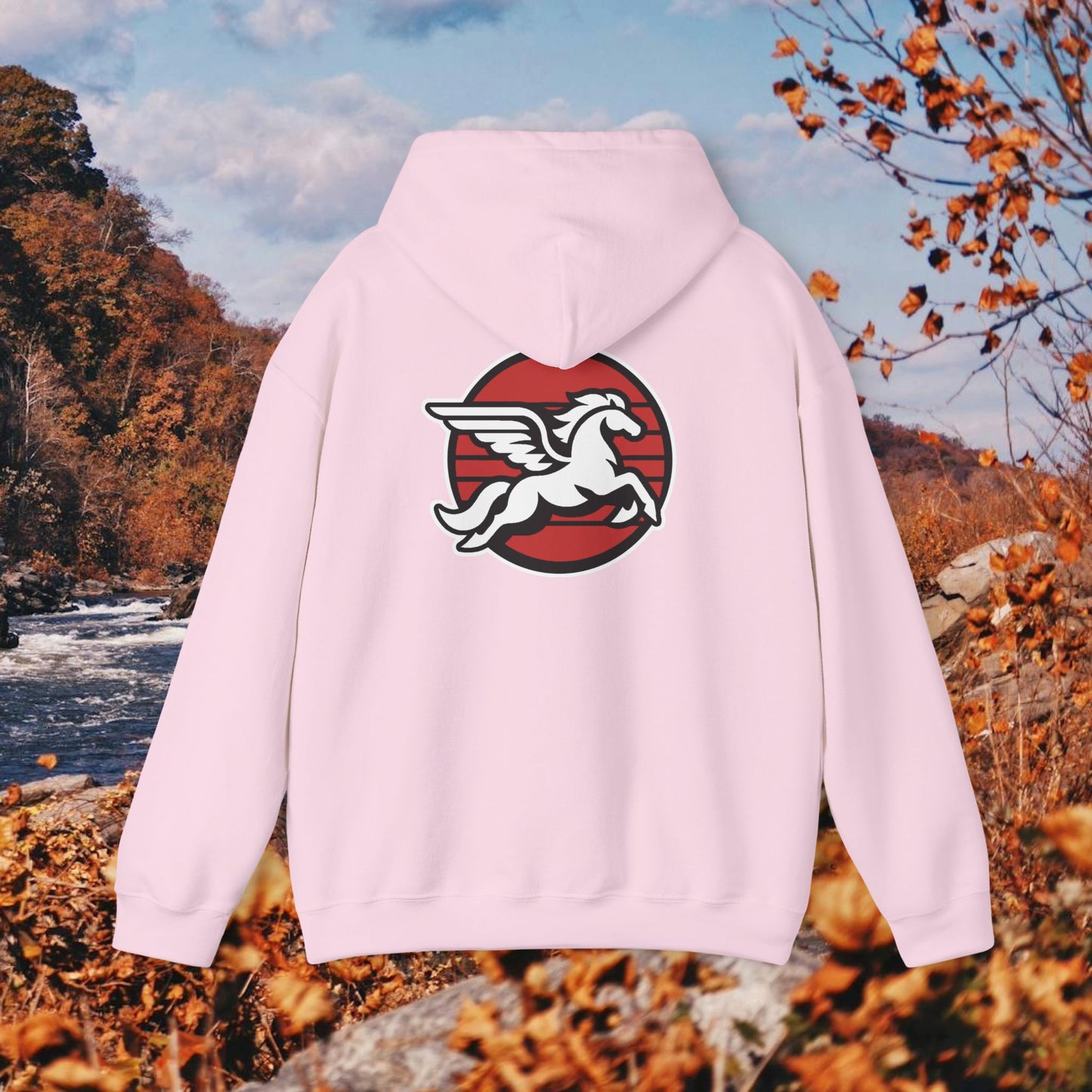 Loudoun Pegasus Hoodie
