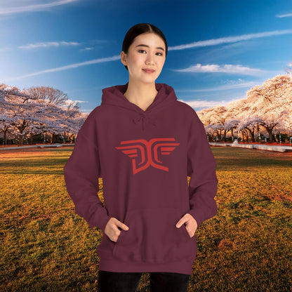 Winged DC Hoodie