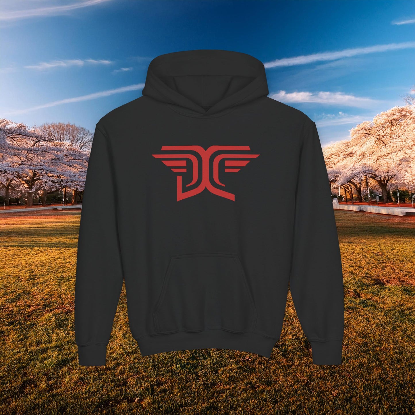 Winged DC Youth Hoodie