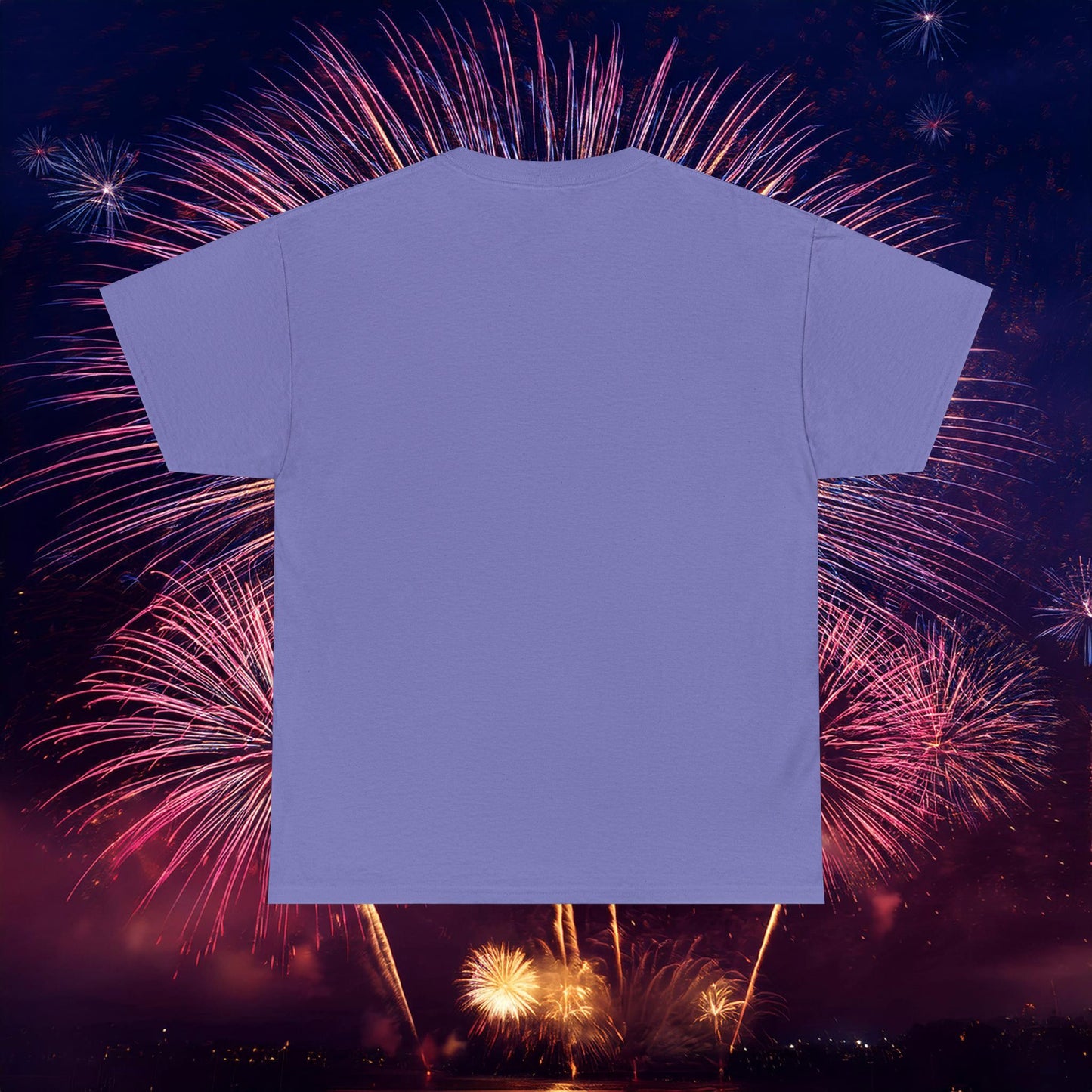 Washington Baseball At Bat Tee